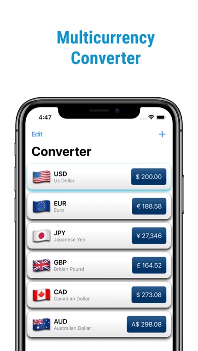 Exchanger (Currency Converter) Screenshot