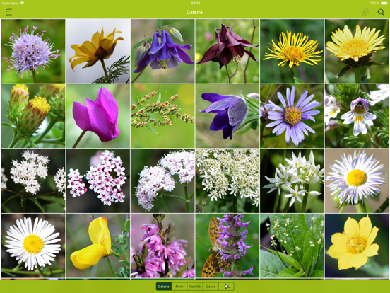 Screenshot #5 pour Fleurs Sauvages Suisse Finder