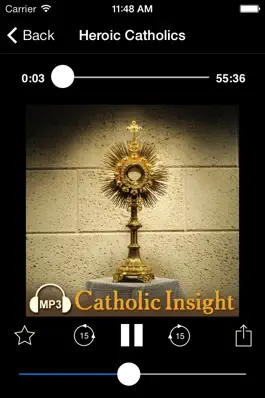 Game screenshot Audio Catholic Insight hack