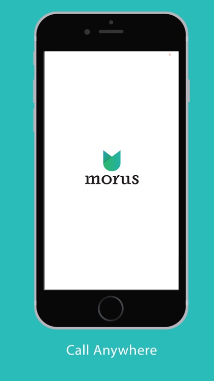 Morus sip