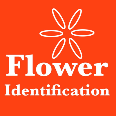 Flower Identification & Garden