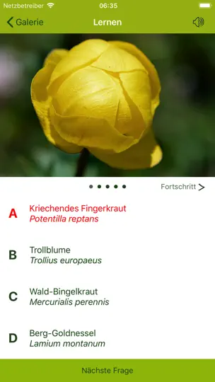 Screenshot von Wildblumen Finder Schweiz auf dem iPhone 6