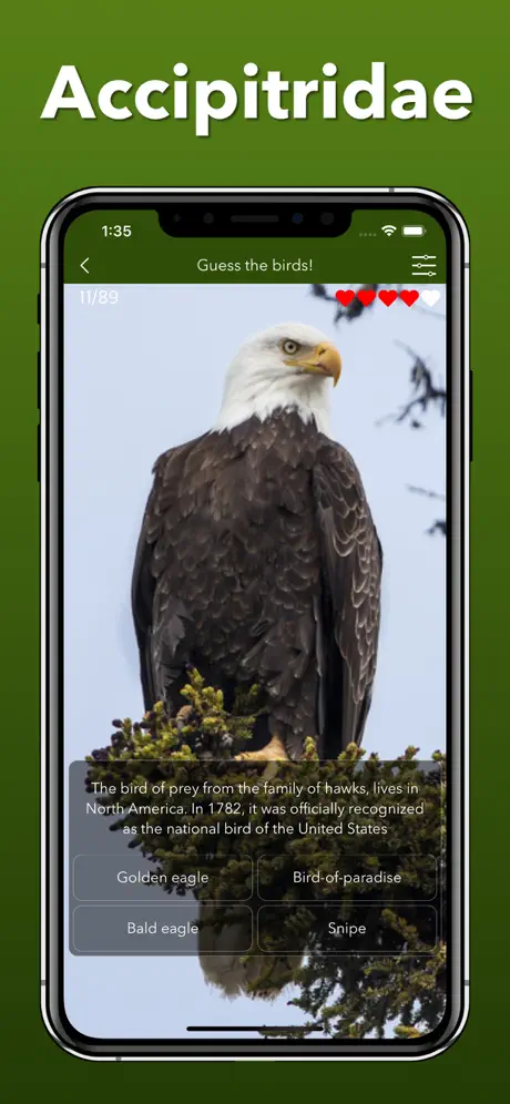 Animals - Educational Games