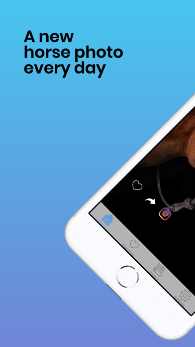 Horses Photos Screenshot