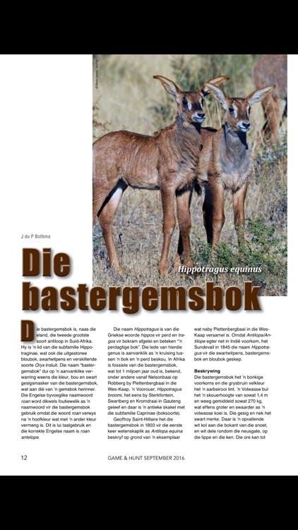 Wild&Jag / Game&Hunt