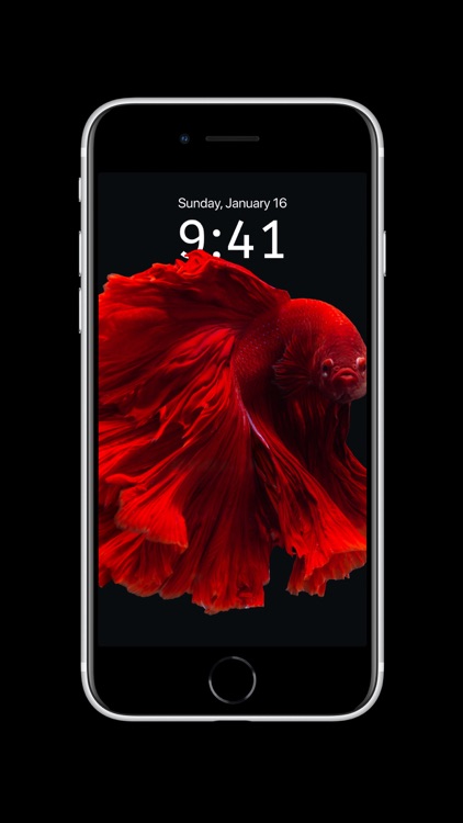 Depth Wallpaper & Live Effect screenshot-7