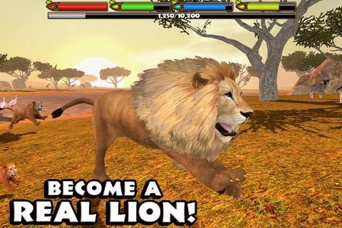 Ultimate Lion Simulatorのおすすめ画像1