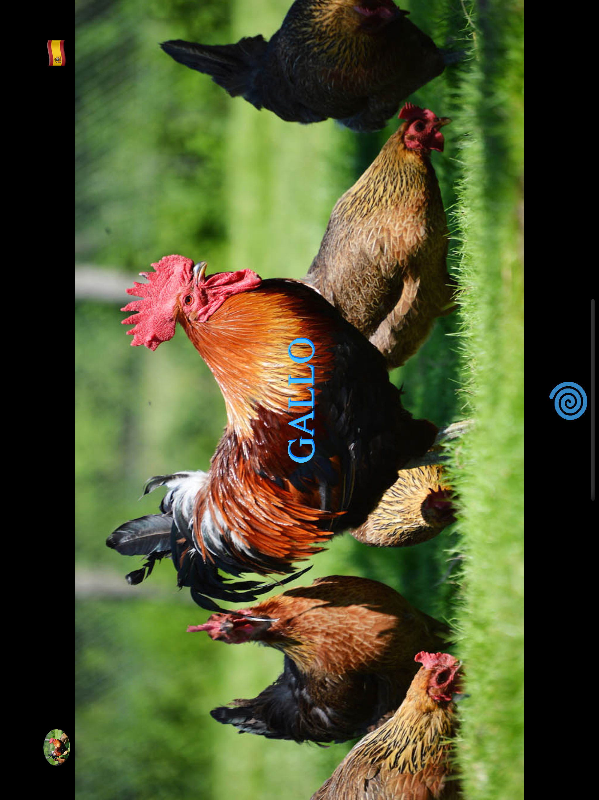 Animal Pad Sounds screenshot 10