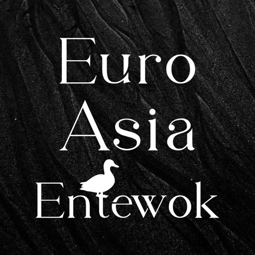 Asia  Ente Wok Düsseldorf