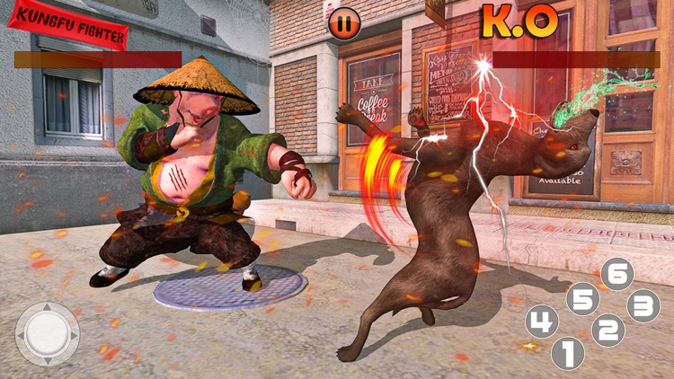 Animal Karate Kings Fight Gang