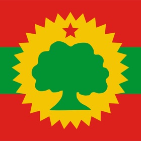 Snímky obrazovky (4) Oromo-English Dictionary