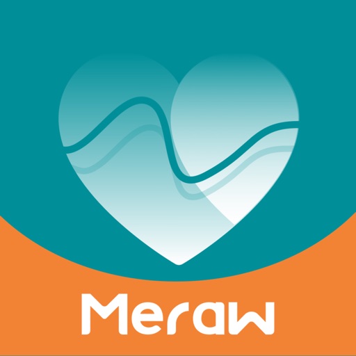 Meraw Bluetooth Blood Pressure Machine, High Accuracy Blood