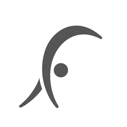 Leisure Focus Читы