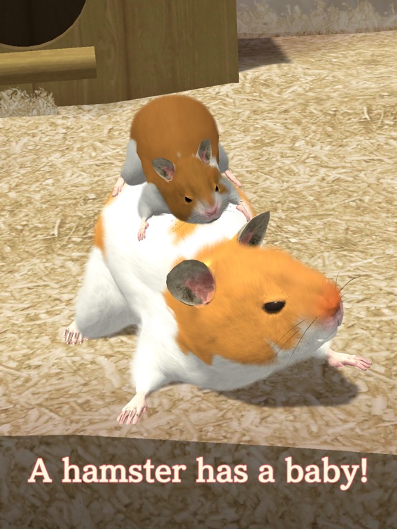 Screenshot #4 pour Namaham