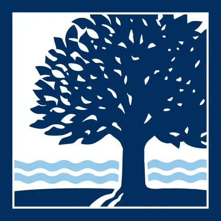 Connecticut College Mobile Читы