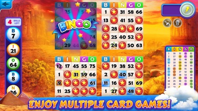 Bingo Cruise™ Live Casino Game Screenshot