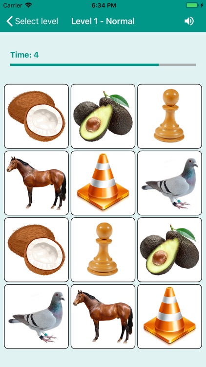 Brain game. Picture Match