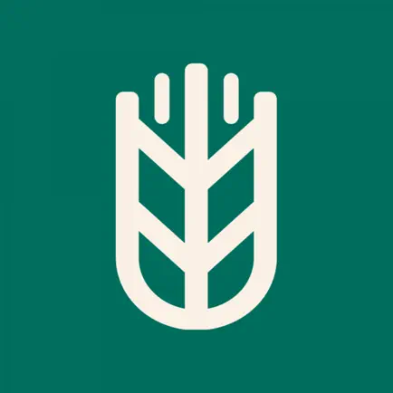 Supply Grain Cheats