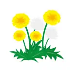 Sticker dandelion App Contact