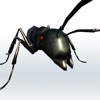 Ant Garden icon