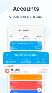 beewallet - account tracker iphone screenshot 3