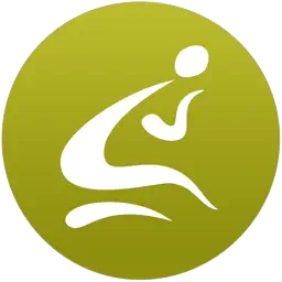 RationalPlan Single app icon