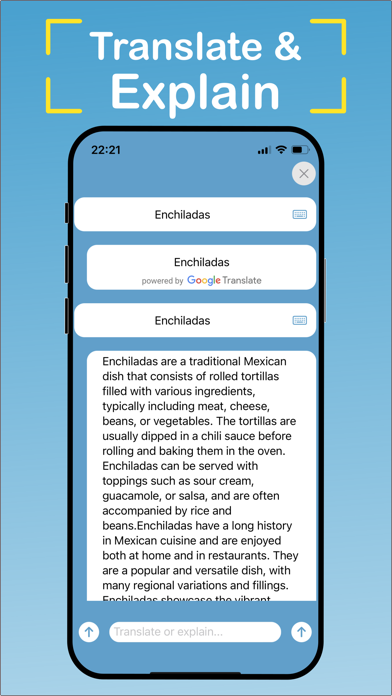 expLingo Translate and Explain Screenshot