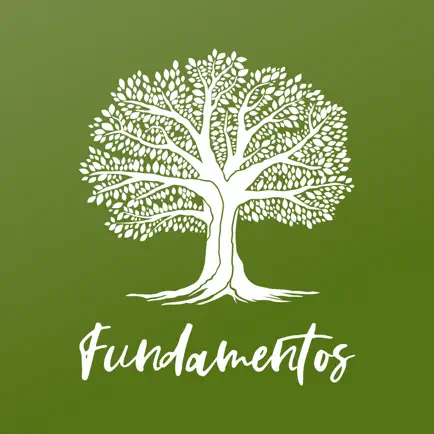 Fundamentos Читы