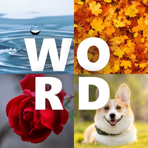 Word 4 Pics Puzzle