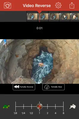 Game screenshot Video Reverse: rewind videos mod apk