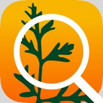 Download Foraging with the 