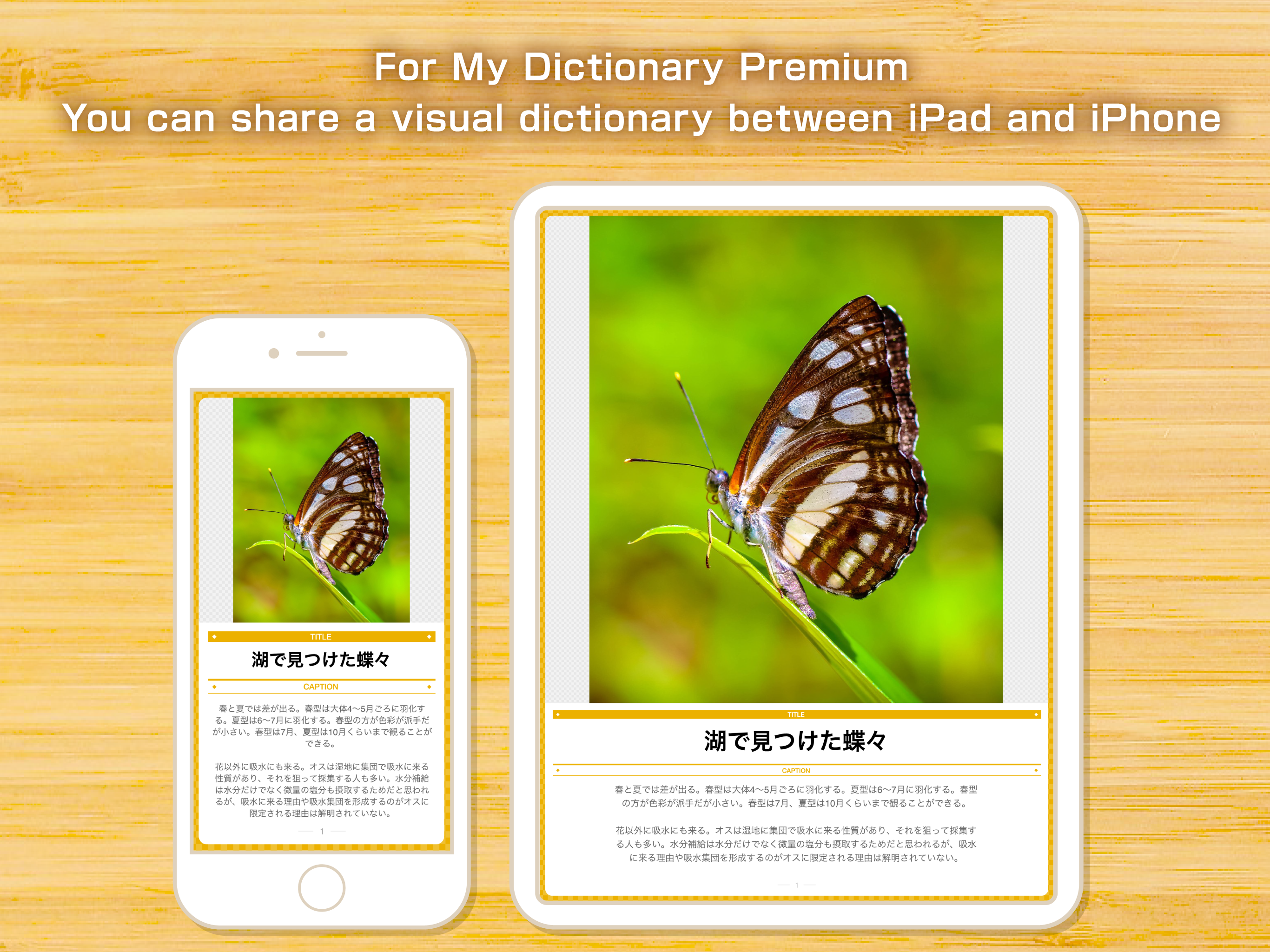 My Dictionary -Collection App-