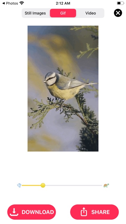 Live Photo Converter * screenshot-6