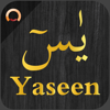Surah Yaseen - يسٓ - Quarter Pi