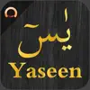 Surah Yaseen - يسٓ App Positive Reviews