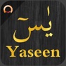 Get Surah Yaseen - يسٓ for iOS, iPhone, iPad Aso Report
