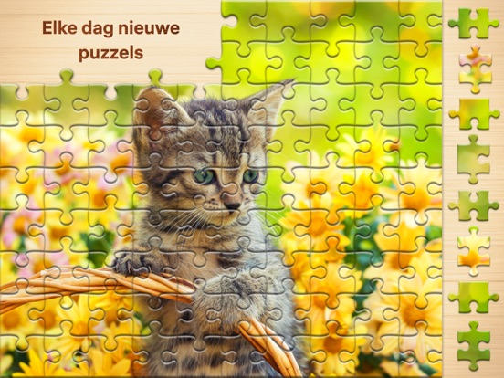 Jigsaw Puzzle: Legpuzzel iPad app afbeelding 4