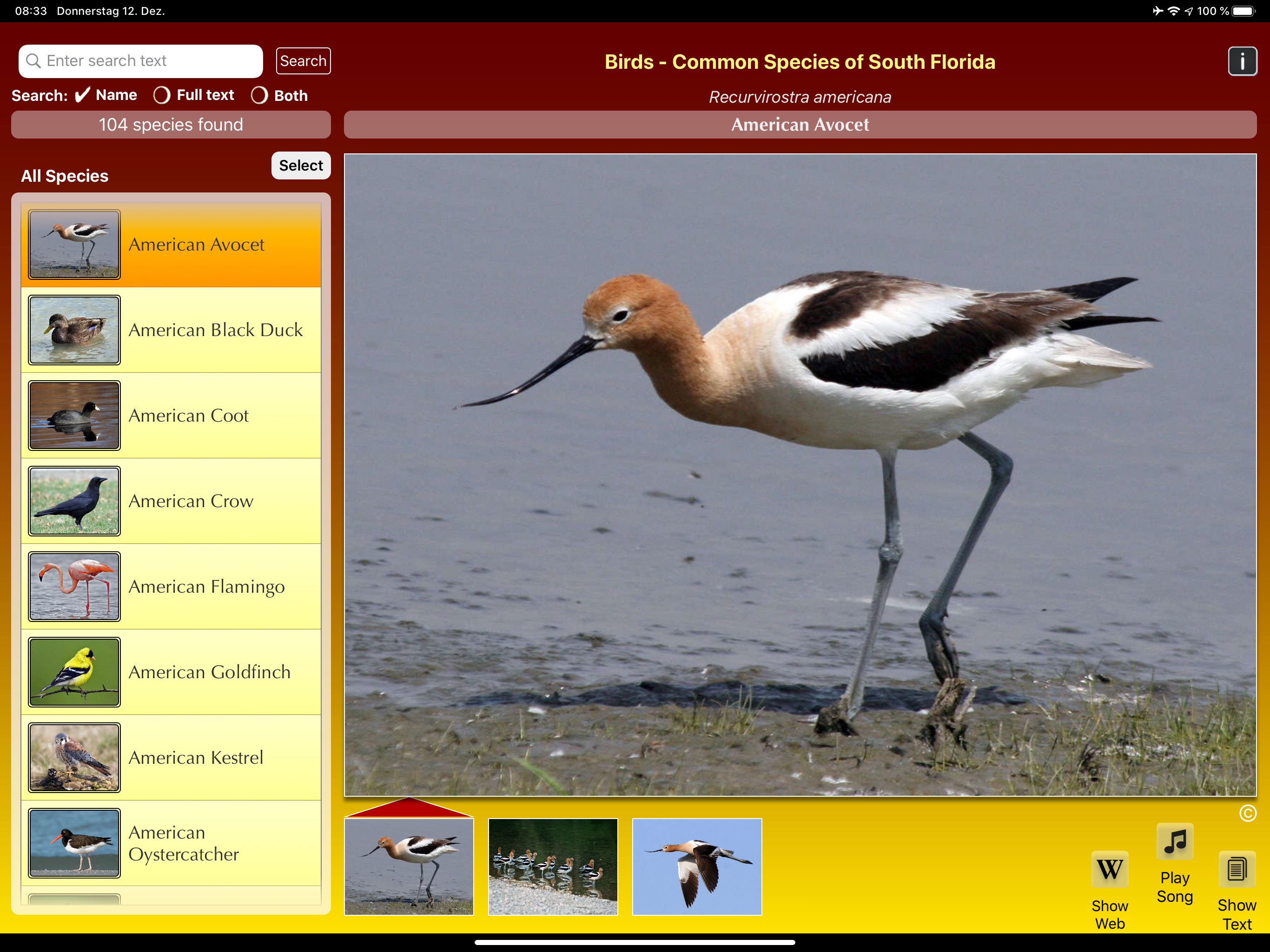 Birds of South Florida screenshot 8