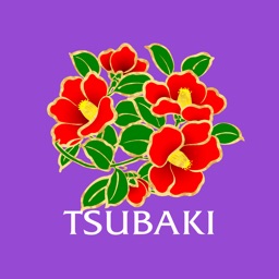 ビデオ通話アプリ TSUBAKI アイコン