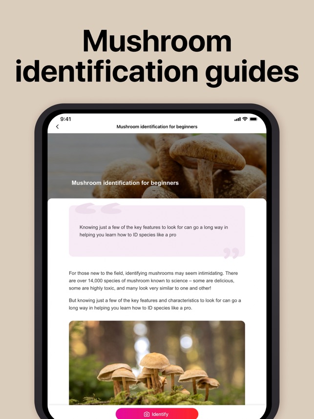 Picture Mushroom: Fungi finder on the App Store