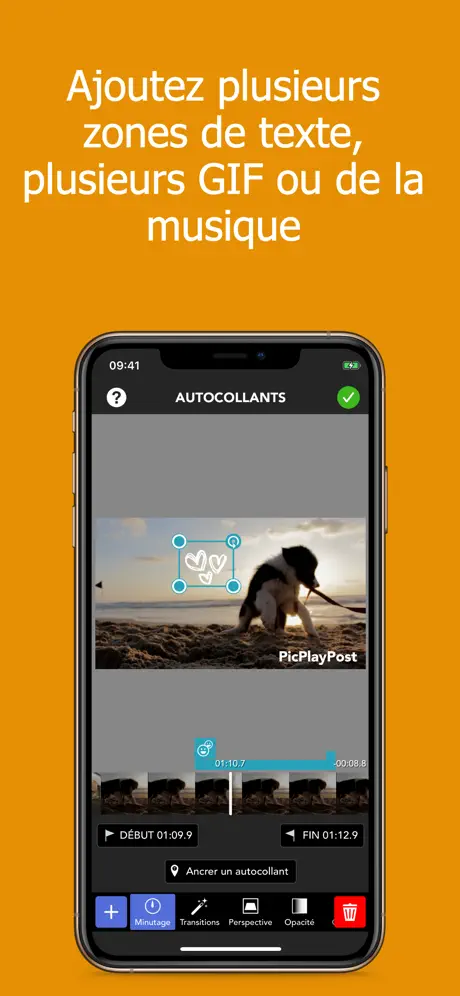 PicPlayPost - Video Editor