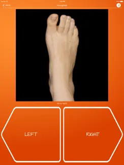 Recognise Foot iPad image 2