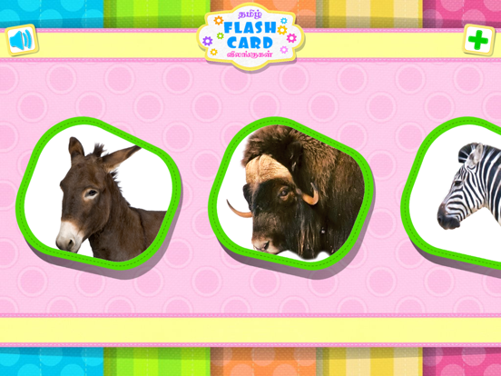 Screenshot #5 pour Tamizh Flash Cards - Animals