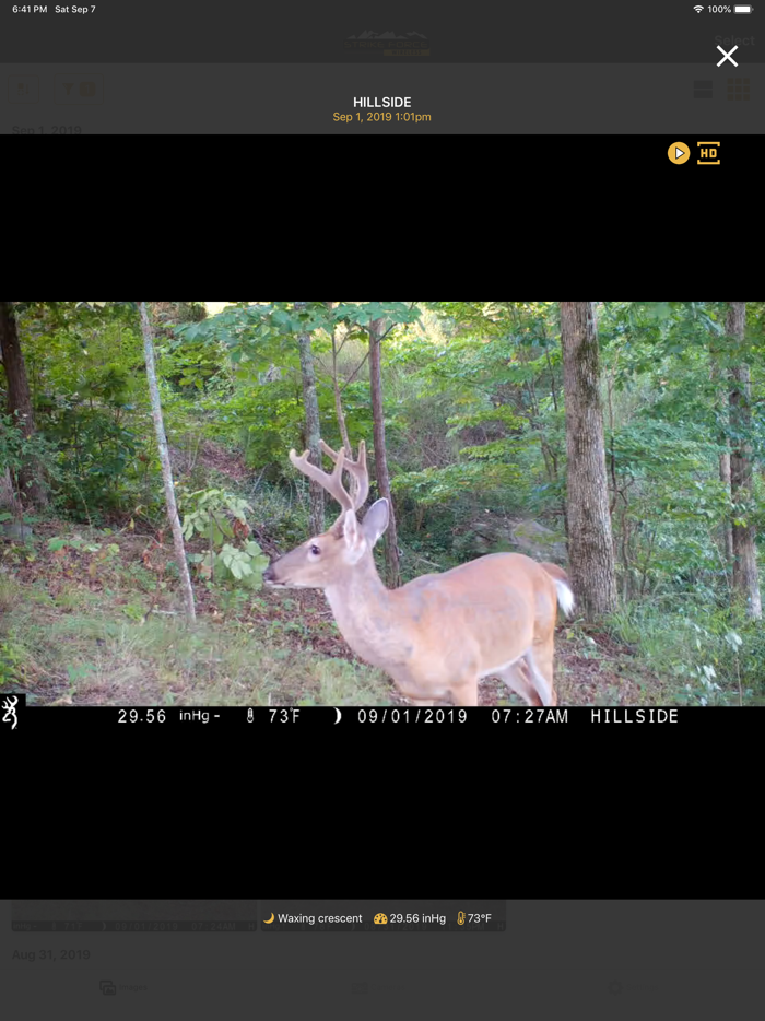 Strike Force Wireless