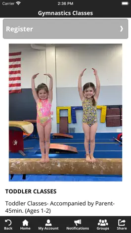 Game screenshot Monadnock Gymnastics Center hack