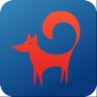 Foxdata Informática app download