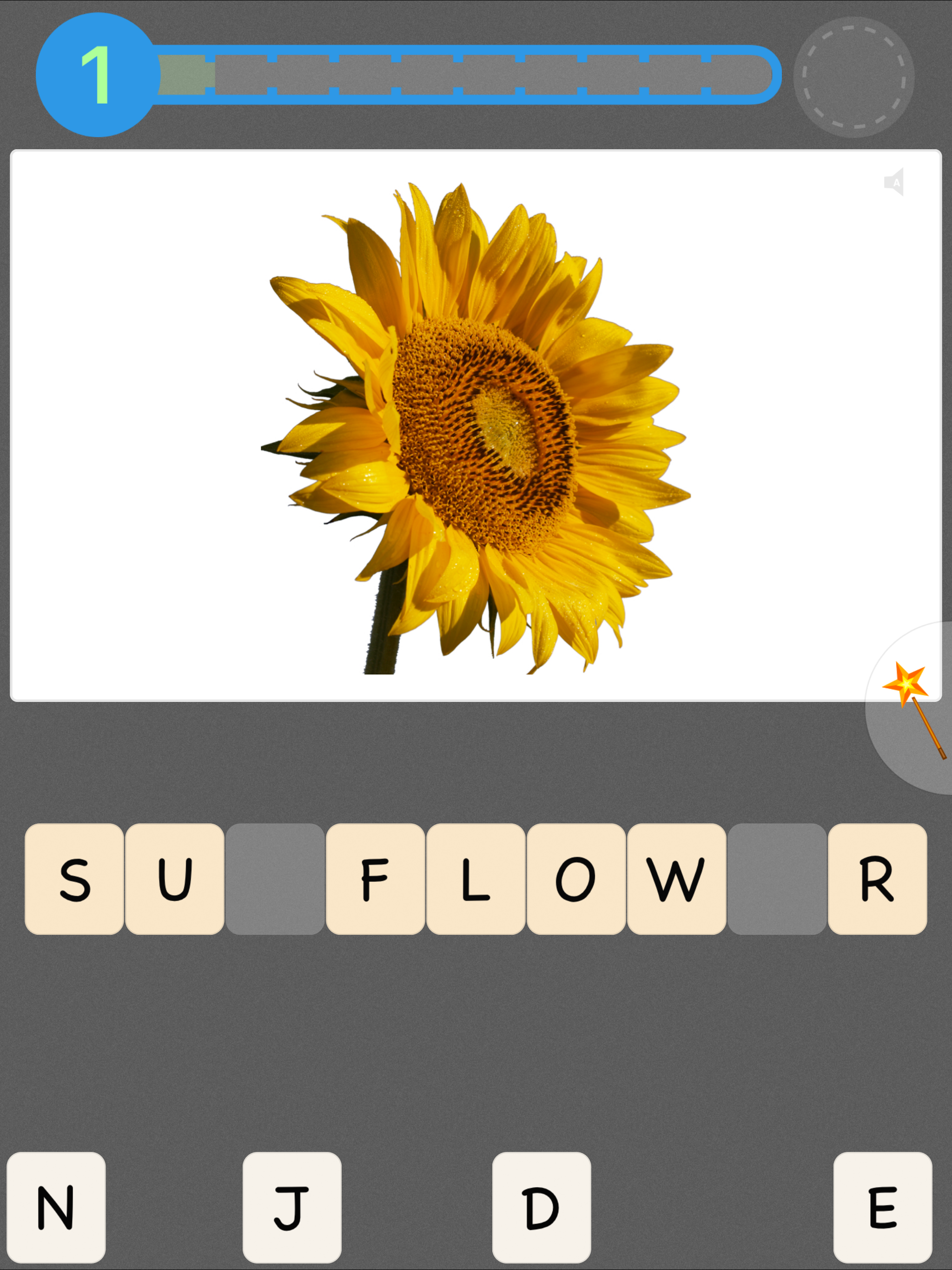 Flashcards by NKO: Flash Cards