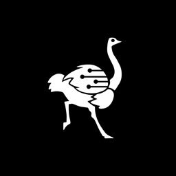 Smart Ostrich
