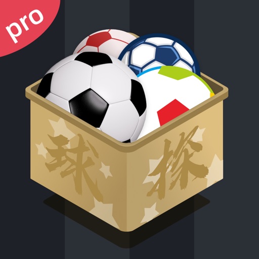 球师网服务PLUS版 - 首选运动场地预定管理