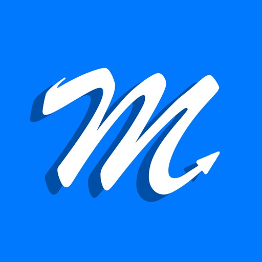 MileWiz 2022 - Car Mileage Log iOS App